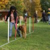 agility 2011-10-30